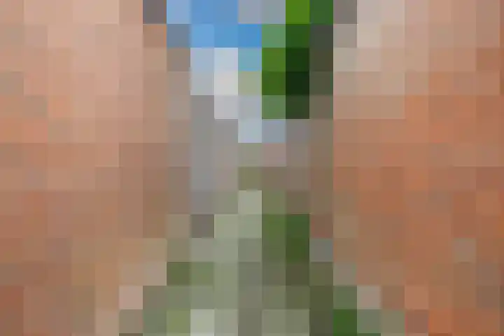 Lorentzschans 28 Zoetermeer thumbnail 60