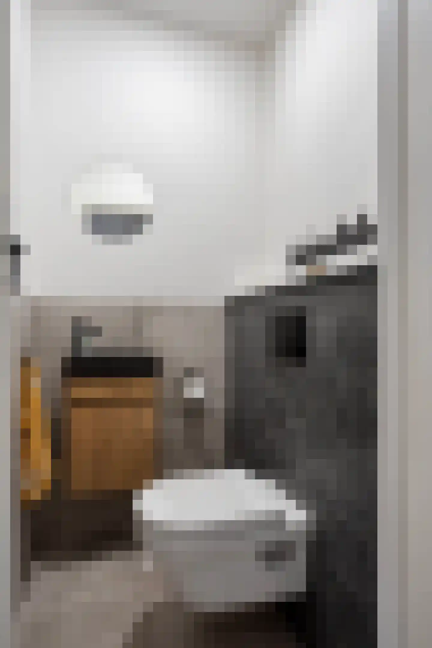 Lorentzstraat 15 b Groningen thumbnail 11