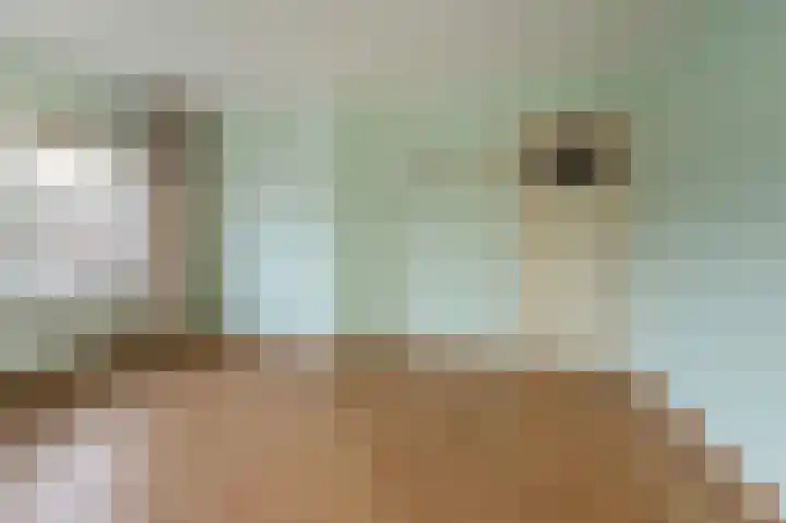 Lorentzstraat 24 Kampen thumbnail 4
