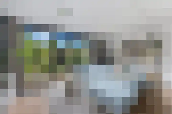 Lorentzstraat 25 B Vlaardingen thumbnail 5