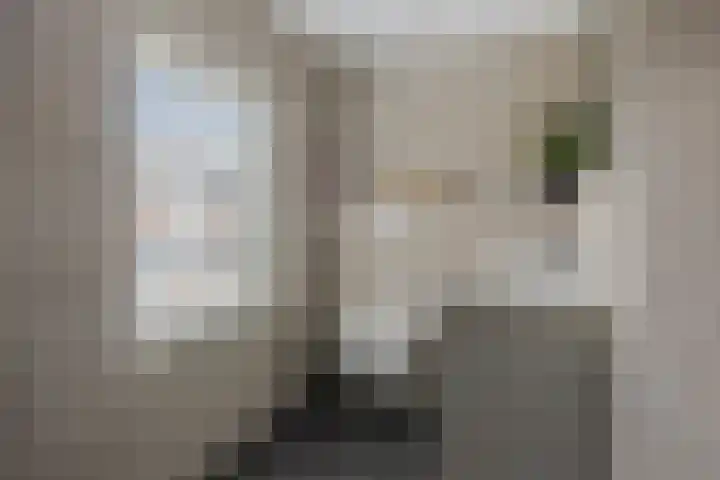 Lorentzstraat 3 Kampen thumbnail 20