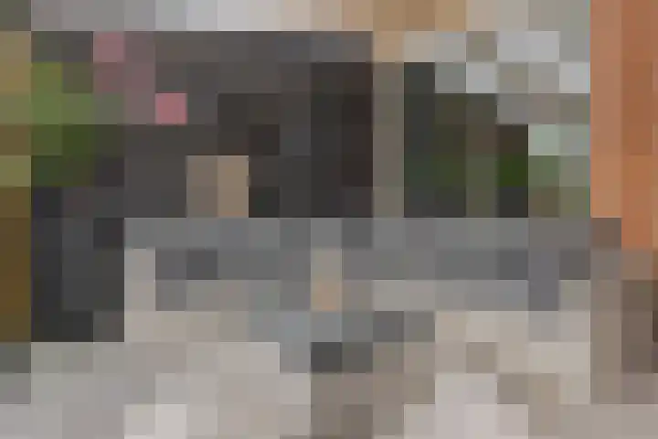 Lorentzstraat 3 Kampen thumbnail 26