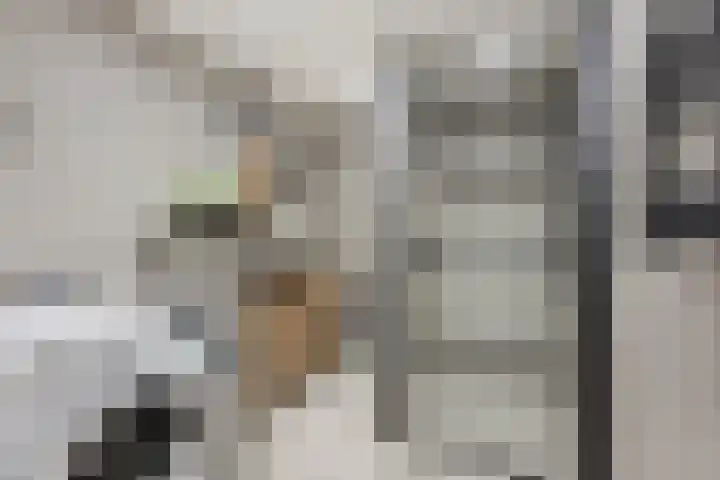 Lorentzstraat 41 Vlaardingen thumbnail 27