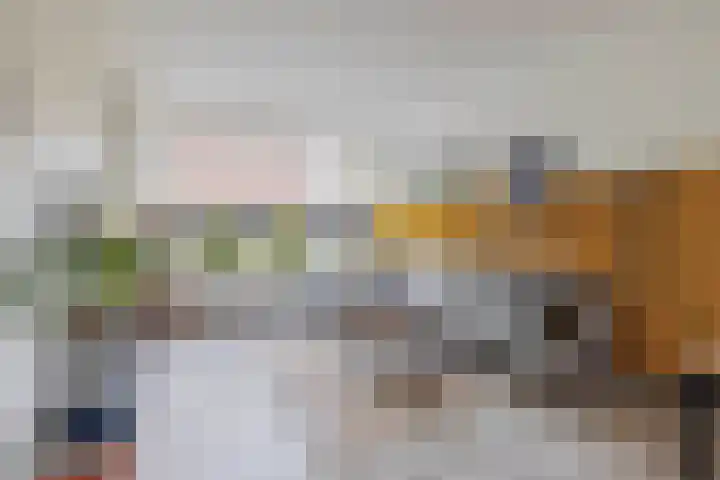 Lorentzweg 21 Lekkerkerk thumbnail 11
