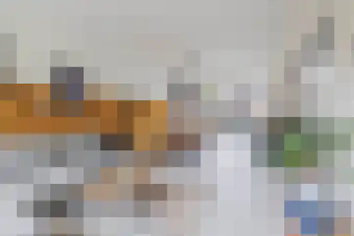 Lorentzweg 21 Lekkerkerk thumbnail 14
