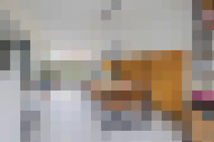 Lorentzweg 21 Lekkerkerk thumbnail 16