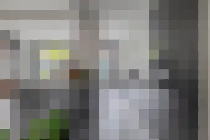 Lorentzweg 21 Lekkerkerk thumbnail 19