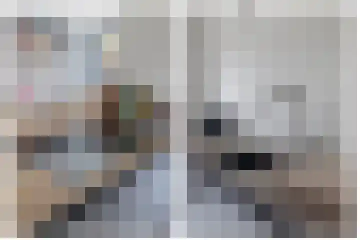 Lorentzweg 21 Lekkerkerk thumbnail 23