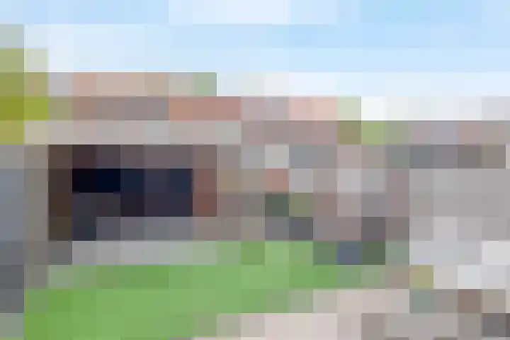 Lorentzweg 21 Lekkerkerk thumbnail 24