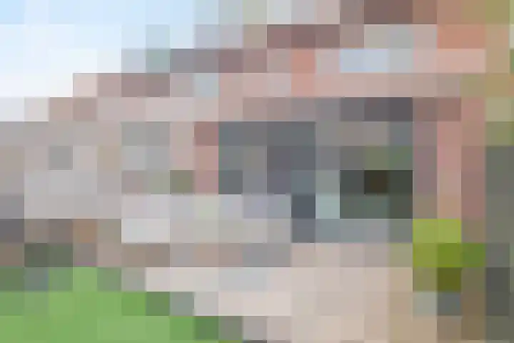 Lorentzweg 21 Lekkerkerk thumbnail 25