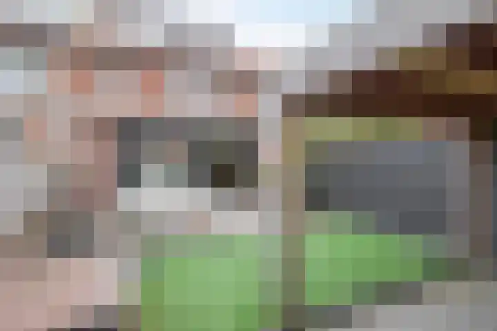 Lorentzweg 21 Lekkerkerk thumbnail 27