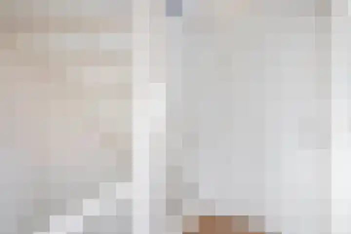 Lorentzweg 21 Lekkerkerk thumbnail 30