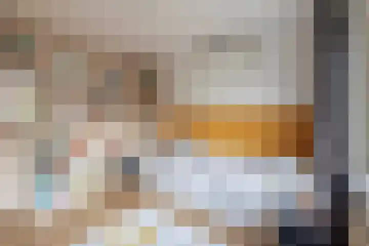 Lorentzweg 21 Lekkerkerk thumbnail 34
