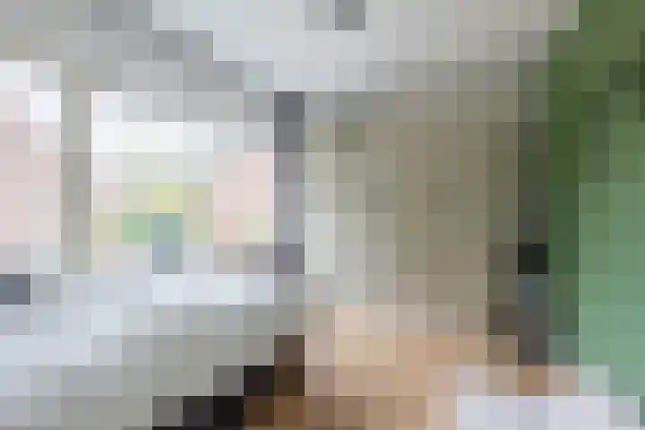 Lorentzweg 21 Lekkerkerk thumbnail 35