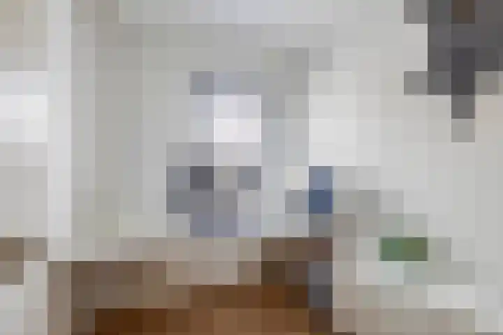Lorentzweg 21 Lekkerkerk thumbnail 36