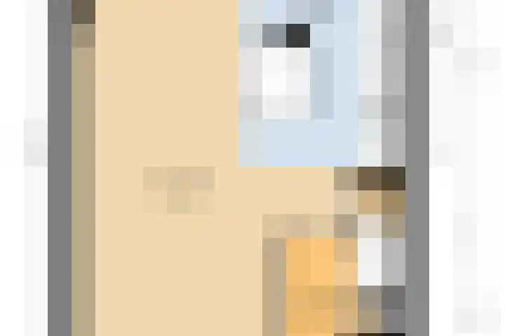 Lorentzweg 21 Lekkerkerk thumbnail 42