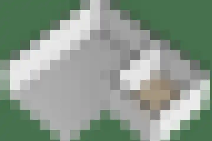 Lorentzweg 21 Lekkerkerk thumbnail 45
