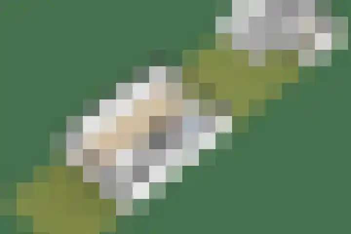 Lorentzweg 21 Lekkerkerk thumbnail 49