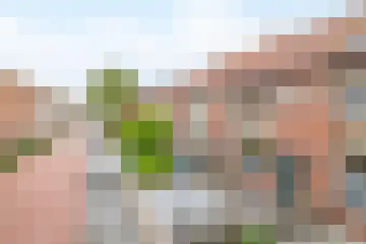 Lorentzweg 21 Lekkerkerk thumbnail 5