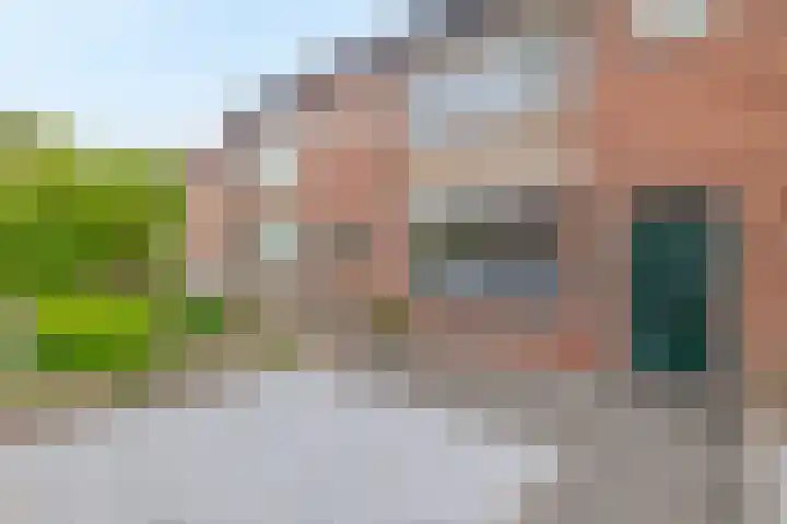 Lorentzweg 21 Lekkerkerk thumbnail 8