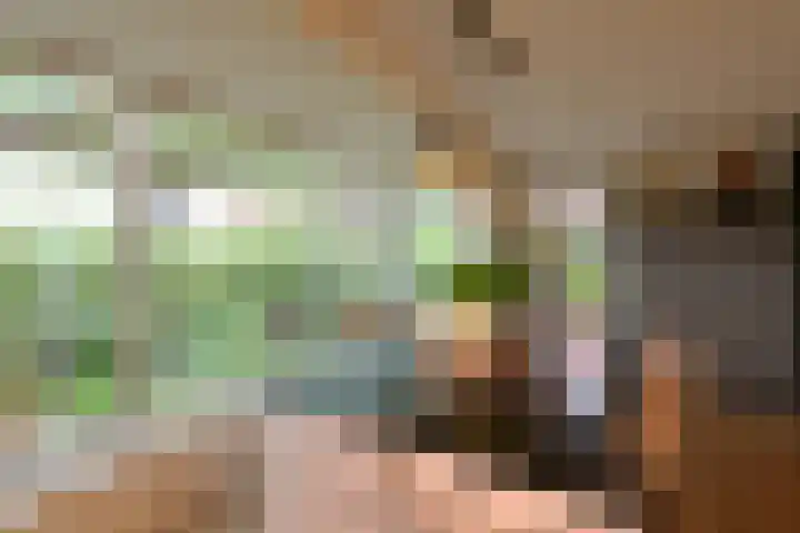 Lorentzweg 46 C 2 Hilversum thumbnail 11