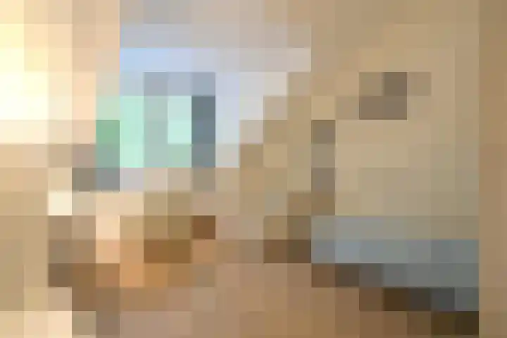 Lorentzweg 46 C 2 Hilversum thumbnail 20