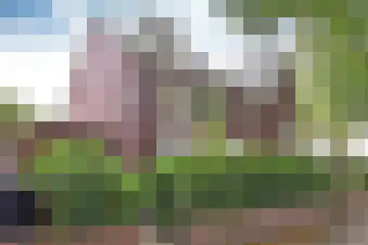 Lorentzweg 46 C 2 Hilversum thumbnail 28