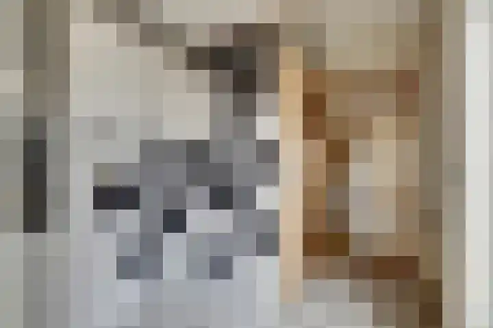 Losbaan 27 Grubbenvorst thumbnail 24