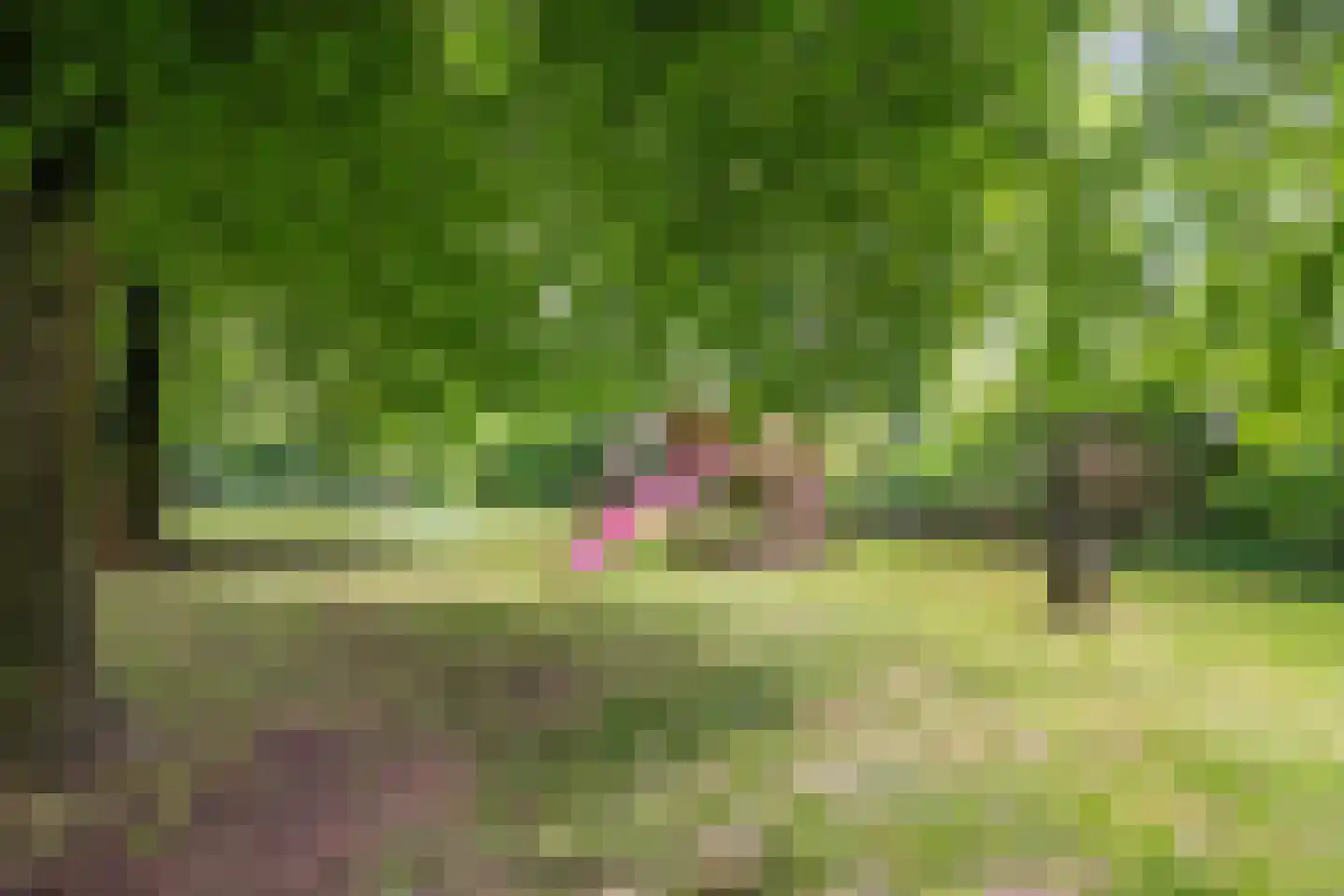 Losbaan 27 Grubbenvorst thumbnail 55
