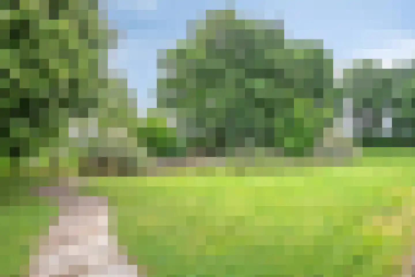 Losbaan 27 Grubbenvorst thumbnail 56