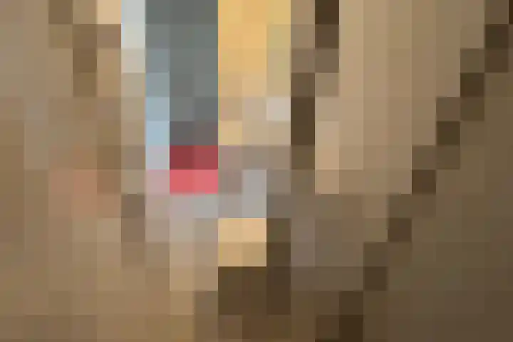 Losbaan 27 Grubbenvorst thumbnail 61