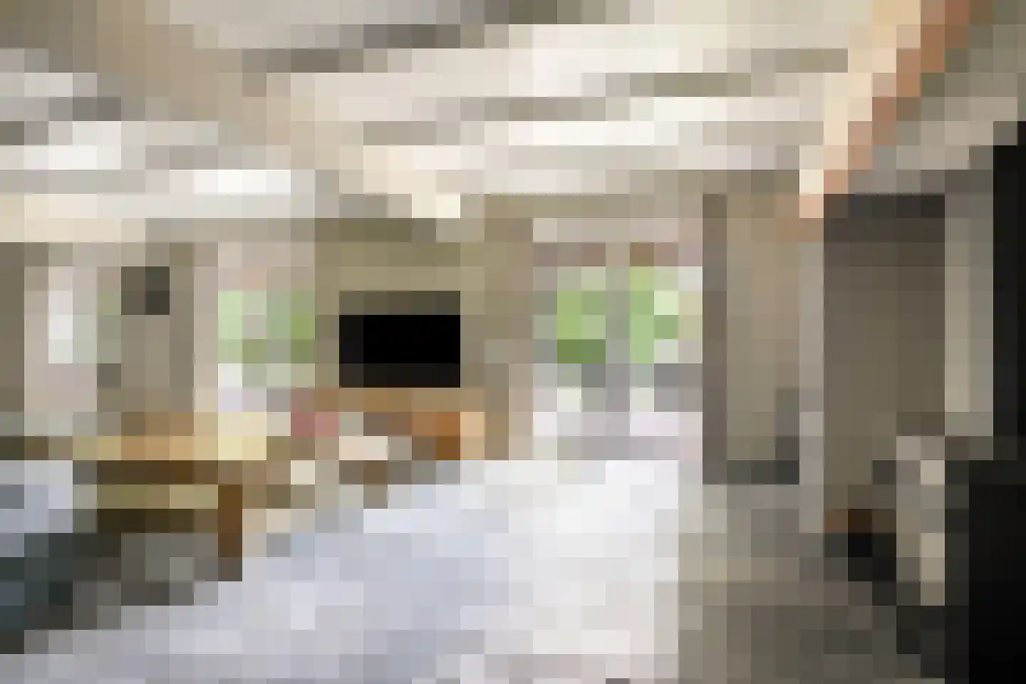 Losbaan 27 Grubbenvorst thumbnail 9