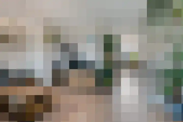Loshaven 17 Hillegom thumbnail 10