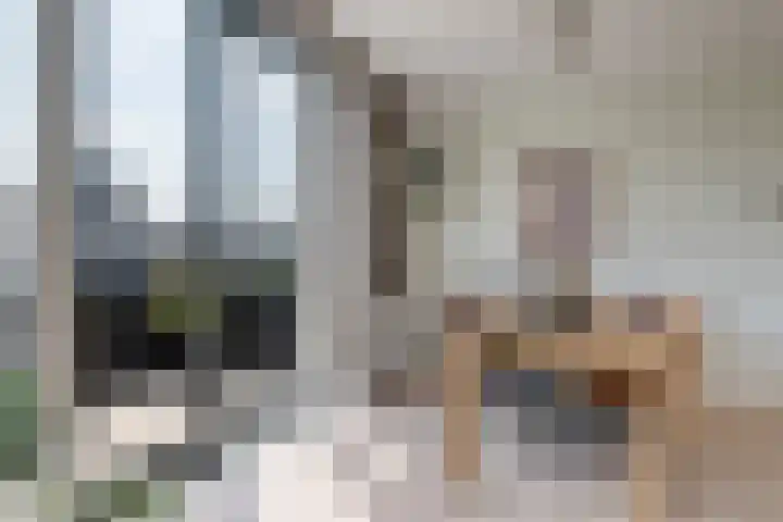 Loshaven 17 Hillegom thumbnail 15