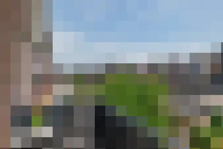 Loshaven 17 Hillegom thumbnail 17