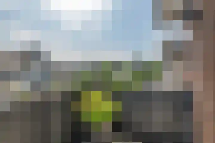Loshaven 17 Hillegom thumbnail 18