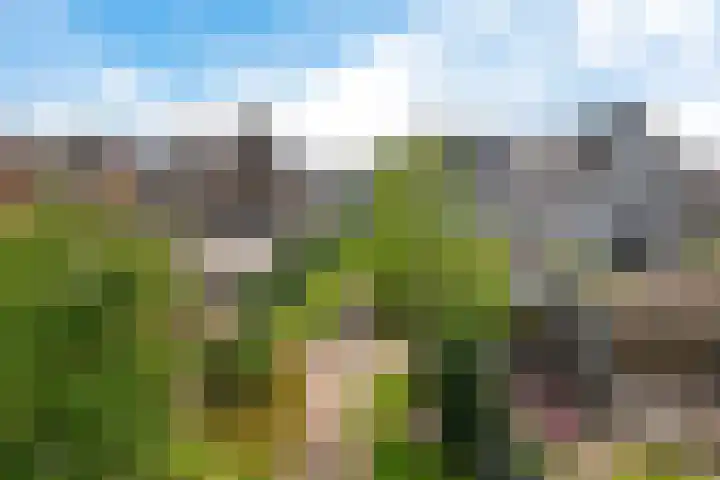Loshaven 17 Hillegom thumbnail 19