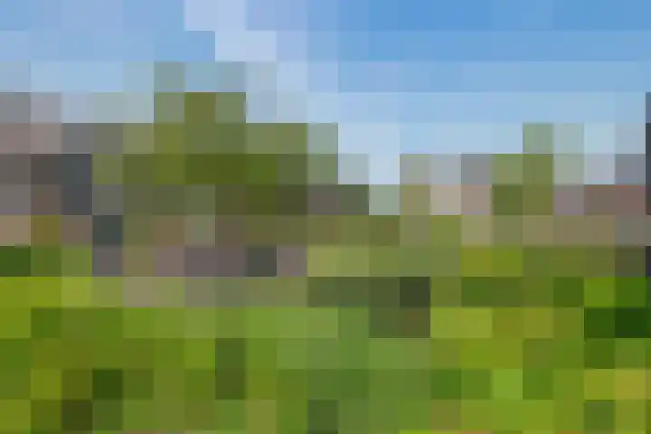Loshaven 17 Hillegom thumbnail 33
