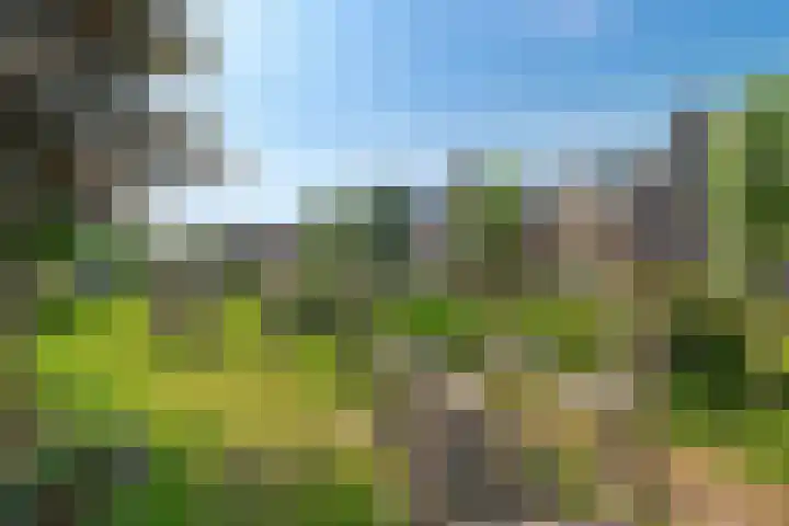 Loshaven 17 Hillegom thumbnail 35