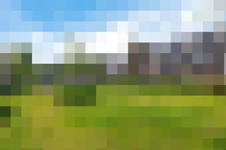 Loshaven 17 Hillegom thumbnail 36