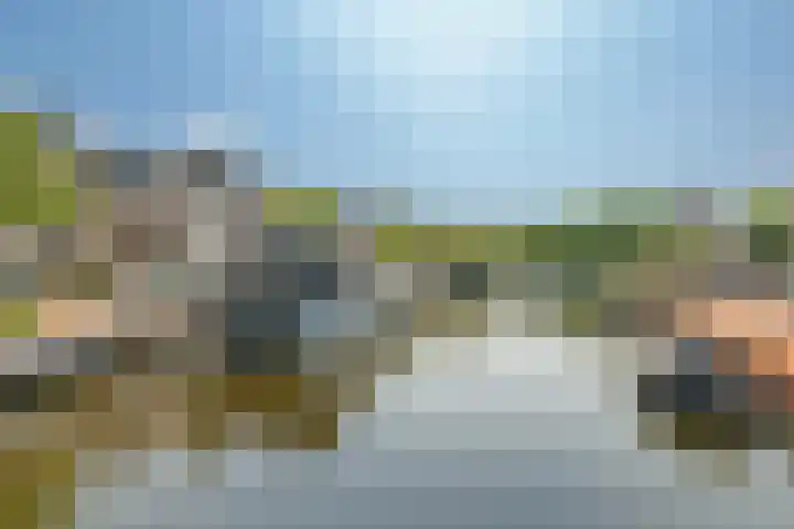 Loshaven 17 Hillegom thumbnail 4