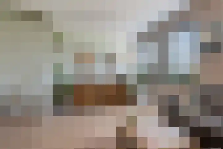 Loshaven 17 Hillegom thumbnail 9