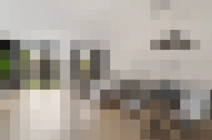 Loshaven 31 Hillegom thumbnail 11