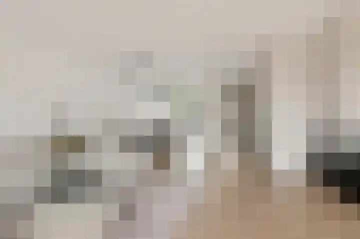 Loshaven 31 Hillegom thumbnail 12
