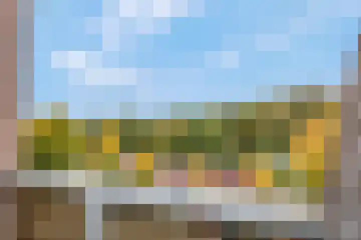 Loshaven 31 Hillegom thumbnail 13