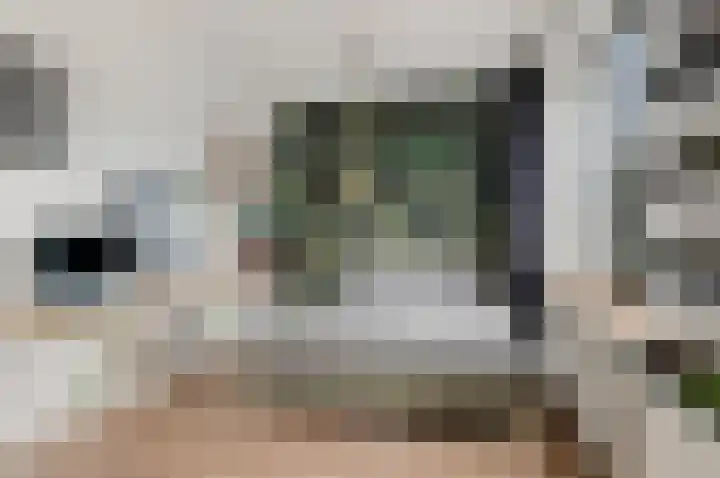 Loshaven 31 Hillegom thumbnail 17
