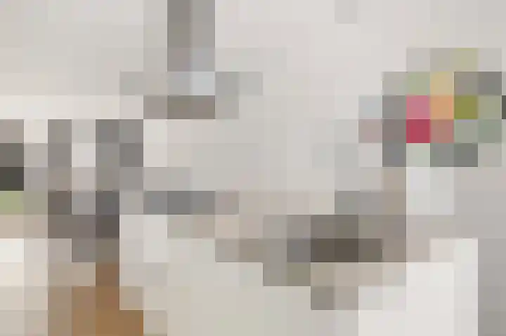 Loshaven 31 Hillegom foto 2