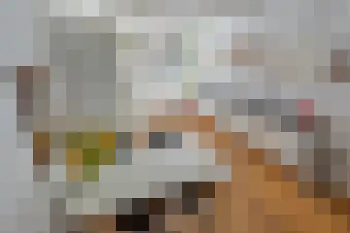 Loshaven 31 Hillegom thumbnail 29
