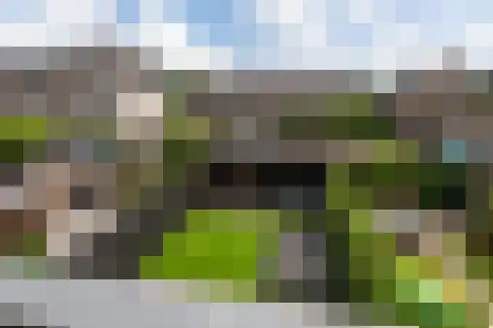Loshaven 31 Hillegom thumbnail 30