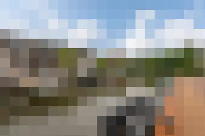 Loshaven 31 Hillegom thumbnail 40